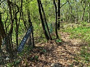 77 Discesi su sentiero nel bosco seguiamo passaggio indicato